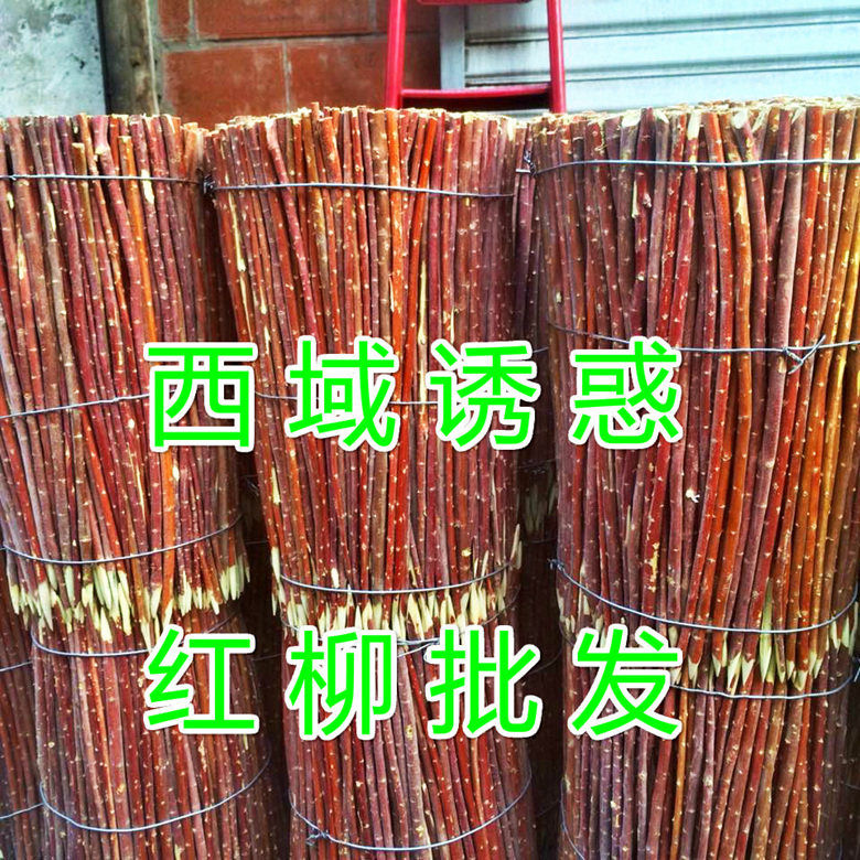 Authentic Xinjiang Barbecue Red Willow Sign Red Willow Roast Sign Red Willow Wood Branches Sign 30 cm 100