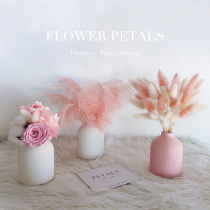 ins Ostrich feather rabbit tail grass dried flower bouquet immortalized flower ornaments Home decoration Mini ceramic vase net red