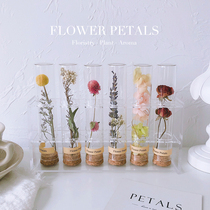 Dried flower glass test tube Yongsheng Flowers Bundles of Wishing Bottle Botanical Specimens Birthday 7 Eve Teachers Day Gift Companion Gift