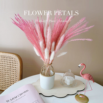 Reed Rabbit Tailgrass Snowpine Evergreen Flowers Dried Flower Bouquet Vase Pendulum with light and Nordic Bedroom Balcony Desktop Furnishing