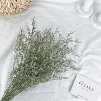 Lover grass Yunnan dried flower bouquet diy flower arrangement Small fresh home decoration Real flower hay natural starry sky