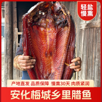Anhua cured fish Hunan specialty smoked farm-made cured fish chunks dried fish salted fish smoked fish cured fish