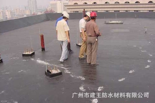 Инженеры проверяют качество конструкции краски Blue Sky 911