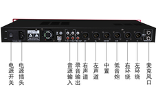Усилитель эффектов хиви/лебеди ДСП-9 цифровых эффектов