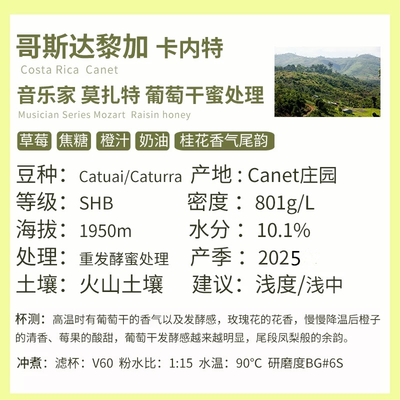 2025 Harvest Season Costa Rica Canet Musician Mozart Raisin Honey Processed Coffee Green Beans