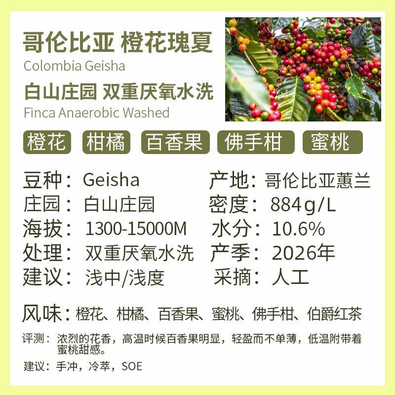 26Th New Crop Season 1000g Colombia White Mountain Estate Anaerobic Washed Orange Blossom Geisha Hand-Brewed Coffee Green Beans 26Th New Crop Season 1000g Colombia White Mountain Estate Anaerobic Washed Orange Blossom Geisha Hand-Brewed Coffee Green Beans