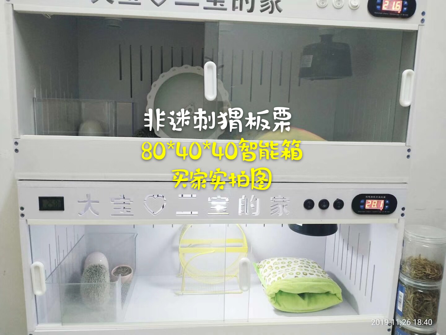 Аксессуары для рептилии pvc刺猬爬箱爬虫饲养箱 芦丁鸡蜥蜴陆龟守宫宠物加热保温箱爬宠箱