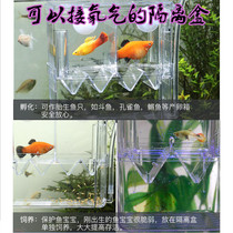  Guppy breeder juvenile isolation box Double-layer self-floating fry box Betta box isolation box Juvenile incubation box