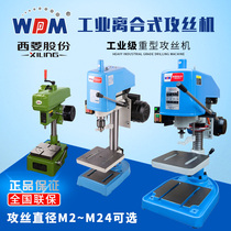  Xiling tapping machine Industrial high-power electric desktop tapping machine Tapping machine SWJ-12 12d 16G 24