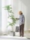 Jacaranda Artificial Green Plant Floor-Standing Potted Plant Bionic Plant Ornament Indoor Living Room Sofa Side Decorative Bonsai Fake Tree