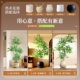 Simulated Plant Floor-Standing Potted Plant, Indoor Large-Scale Bionic Green Plant Ornament, High-End Light Luxury Decoration for the Living Room, Artificial Flowers and Trees