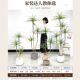 Artificial Green Plant, Philodendron, Fake Plant, High-End Light Luxury Indoor Decorative Tree, Large Potted Plant for Living Room, Floor-Standing Ornament