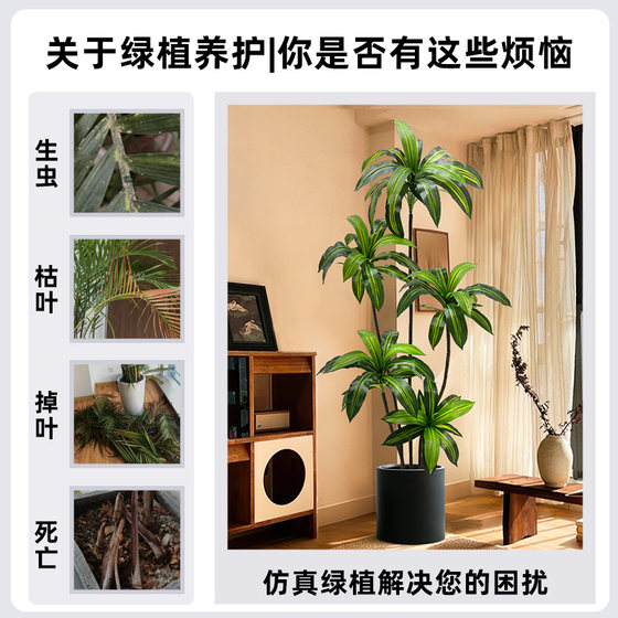 Simulated Green Plants, High-End Light Luxury Brazilian Wood Indoor Living Room Decoration, Floor-Standing Ornaments, Simulated Fake Plants, Potted Landscaping