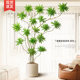 Simulated Green Plant Lily Bamboo Potted Plant Large Indoor Decorative Flower Ornament Living Room Floor-Standing Tree High-End Bionic Fake Plant