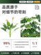 Artificial Green Plant Nandina Bamboo Landscaping Combination for Window Decoration, Balcony Faux Plant Landscape, Entrance Indoor Atmosphere Artificial Tree