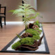 Artificial Green Plants for Desktop, Everlasting Moss Micro-Landscape, Green Plant Ornaments for Entryway, Coffee Table, Narrow Spaces, Simulated Flower Decorations