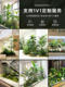 Simulated Plant Landscaping, Landscape Arrangement, Artificial Flower Trees under Indoor Stairs, Window Decoration, Simulated Green Plant Landscaping Combination