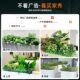 Simulated Green Plant Landscaping Combination, Tropical Plant Partition, Flower Trough, Flower Box, Artificial Flowers, Indoor Landscape Decoration