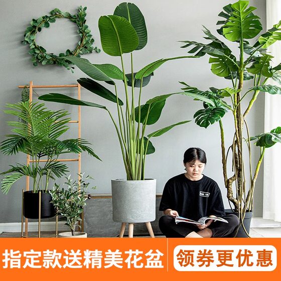 Simulated Green Plants, Artificial Trees, Bird of Paradise, Bionic Plants, Potted Ornaments, Classy Light Luxury Indoor Living Room Decoration, Flower Landscaping