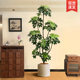 Simulated Green Plants, High-End Light Luxury Duck-Foot Wood Indoor Potted Plants, Large Artificial Plants, Fake Trees, Living Room Decorations and Ornaments