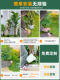 Artificial Plants for Indoor Staircases, Storefront Window Displays, and Decorative Landscaping Combinations; Faux Greenery for Ambiance Decoration
