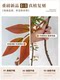 Colorful Artificial Nandina Bamboo Potted Plant for Indoor Use, High-End Imitation Plant for Tv Cabinet, Living Room Decorative Piece