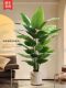 Traveler's Palm Artificial Green Plant Indoor Potted Large Artificial Flower Faux Tree Light Luxury Living Room Bird of Paradise Floor-Standing Ornament