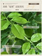 Artificial Green Plant Happiness Tree, Indoor Light Luxury Imitation Plant, Large Potted Plant for Living Room Decoration, Floor-Standing Fake Tree Ornament