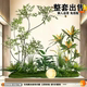 Artificial Green Plant Landscape Decoration Set for Window Display, Fake Plant Landscaping for Courtyard Arrangement, Entrance Hall Interior Ambiance Tree