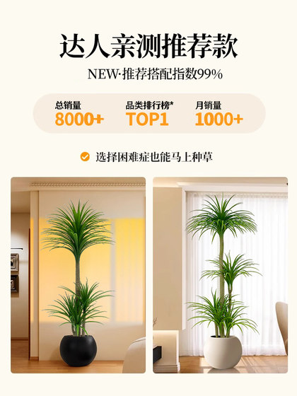 Simulated Green Plant Dracaena for Landscaping, High-End Light Luxury Living Room Interior Decoration, Large Potted Plant with a Sense of Sophistication, Floor-Standing Ornament
