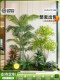 Artificial Plant Landscaping Set for Living Room Decoration, Green Plant Combination Bonsai Set, Window Display Style Home Decor, Ambiance Tree