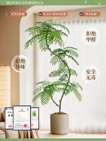 Jacaranda Artificial Green Plant Floor-Standing Potted Plant Bionic Plant Ornament Indoor Living Room Sofa Side Decorative Bonsai Fake Tree