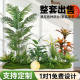 Simulated Green Plant Combinations for Landscaping, Tropical Artificial Plant Landscapes for Shopping Malls, Fake Trees under Stairs, Indoor Potted Plant Decorations