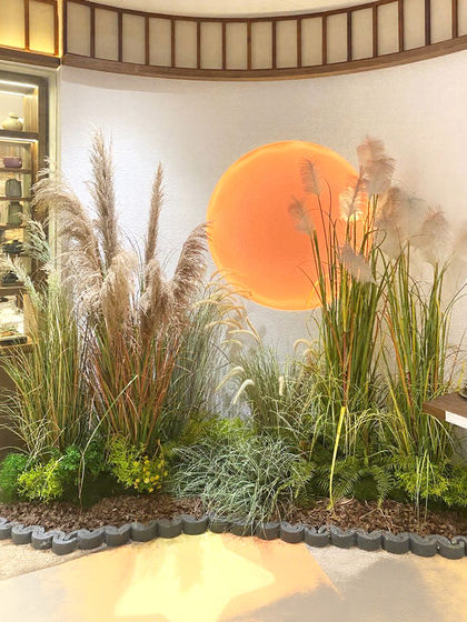 Simulated reed dried flowers, high-end light luxury living room window partition decoration, green plant landscaping combination, decorative landscape