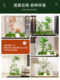 Simulated Green Plant Landscaping Combination Window Decoration Fake Plant Landscape Landscaping Courtyard Layout Entrance Indoor Atmosphere Tree