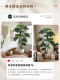 Artificial Green Plants, Large Indoor Monstera Fake Tree, High-End Luxury Office Decor, Fake Plant Floor-Standing Potted Ornament