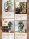 Monstera Artificial Green Plant Large Potted Plant for Living Room Indoor Light Luxury Decoration Artificial Flower Plant Floor-Standing Ornament Fake Tree