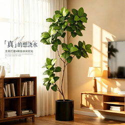 Large Artificial Banyan Tree, Luxury Living Room Indoor Fake Tree, Shopping Mall Window Display Landscape Decoration Ornament