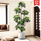Simulated Green Plants, High-End Light Luxury Duck-Foot Wood Indoor Potted Plants, Large Artificial Plants, Fake Trees, Living Room Decorations and Ornaments