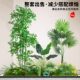 Simulated Green Plants, Artificial Trees, Bird of Paradise, Bionic Plants, Potted Ornaments, Classy Light Luxury Indoor Living Room Decoration, Flower Landscaping