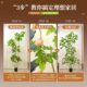 Simulated Plant Floor-Standing Potted Plant, Indoor Large-Scale Bionic Green Plant Ornament, High-End Light Luxury Decoration for the Living Room, Artificial Flowers and Trees