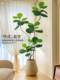 Artificial Green Plant Ficus Lyrata with a Luxurious and High-End Feel, Living Room Potted Plant, Faux Plant Decoration, Indoor Floor-Standing Artificial Tree