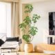 Simulated Green Plants, High-End Light Luxury, Bionic Duck Foot Wood, Indoor Living Room Sofa Side, Large Potted Plants, Floor-Standing Fake Plants