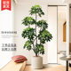 Simulated Green Plants, High-End Light Luxury Duck-Foot Wood Indoor Potted Plants, Large Artificial Plants, Fake Trees, Living Room Decorations and Ornaments