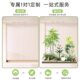 Simulated Green Plants for Landscaping, Indoor Landscape, Artificial Plant Combinations, Window Decoration, Courtyard Layout, Artificial Trees under Stairs