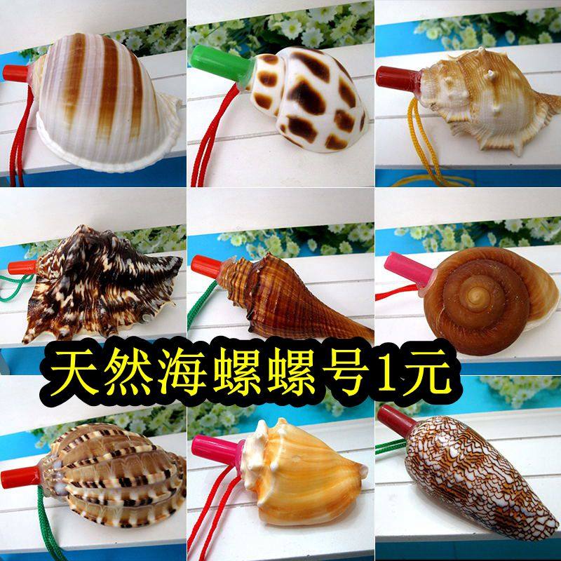 Full RMB28  natural sea snail shell sea snail whistle Number of children Toys children Toys Shells Whistle