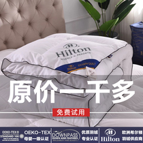 Exit Hilton Hotel Down Quilt 95 White Goose Down Quilt Winter Quilted By Air Conditioning Quilted By Cotton Quilt Thickened