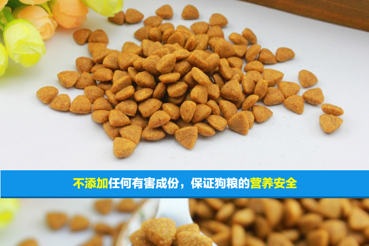 Tiannuo 5kg10 chó con cỡ lớn và trung bình thức ăn cho chó trưởng thành thức ăn cho chó jinmaotaidi samo - Gói Singular cat food