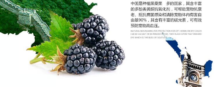 Pu Lidun cá biển sâu vào thức ăn cho mèo 500g thức ăn cho mèo nhỏ thức ăn chính của mèo whiskas cho mèo con
