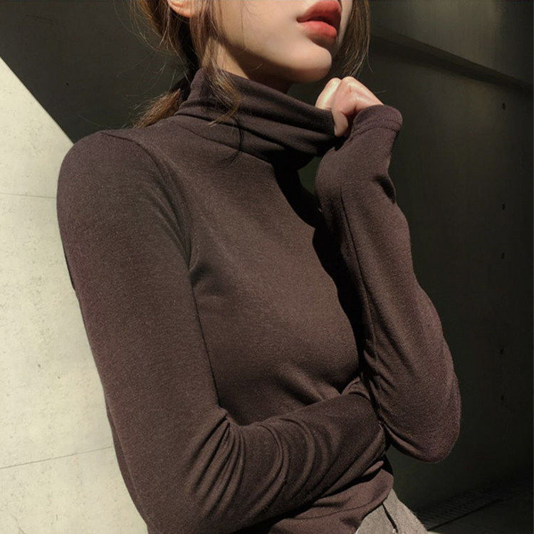 South Korea 2022 autumn and winter new high-neck bottoming shirt sweater women's solid color knitted sweater long-sleeved slim-fit all-match top